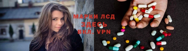 стаф Магадан