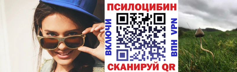 Псилоцибиновые грибы мицелий  Магадан 
